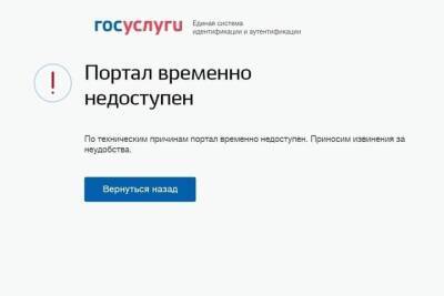 Петербуржцы пожаловались на очередной сбой в работе сервиса «Госуслуги» - spb.mk.ru - Петербурга