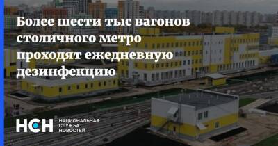 Собянин - Более шести тыс вагонов столичного метро проходят ежедневную дезинфекцию - nsn.fm - Россия - Сергей