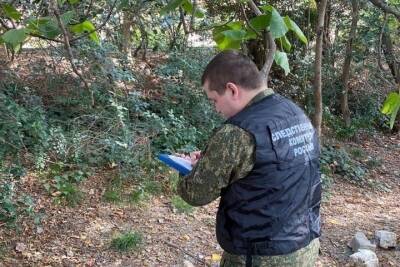 В Сочи задержали приезжего подозреваемого в убийстве женщины на улице Голубые Дали - kuban.mk.ru - Россия - Сочи - Краснодарский край