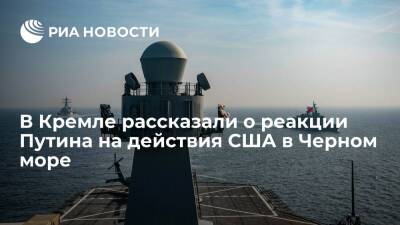 Владимир Путин - Дмитрий Песков - Песков: Путин обеспокоен действиями США в Черном море - ria.ru - Москва - Россия - США