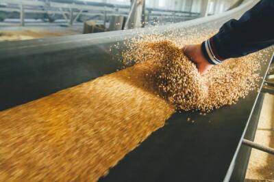 Эдуард Зернин - Патрушев предупредил, что формулы расчета экспортных пошлин на зерно могут изменить - eadaily.com
