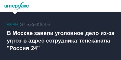 Людмила Нефедова - В Москве завели уголовное дело из-за угроз в адрес сотрудника телеканала "Россия 24" - interfax.ru - Москва - Россия