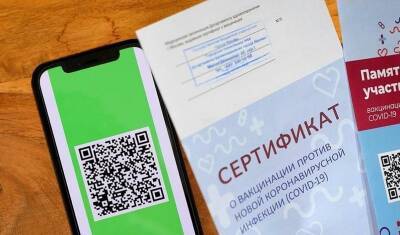 Оперштаб официально заявил о введении обязательных QR-кодов в транспорте и магазинах - mkset.ru - Россия