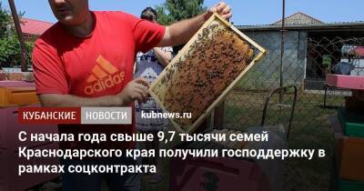 С начала года свыше 9,7 тысячи семей Краснодарского края получили господдержку в рамках соцконтракта - kubnews.ru - Краснодарский край