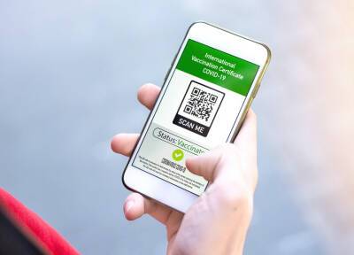 В России готовы два законопроекта об обязательных QR-кодах в транспорте и магазинах - province.ru - Россия