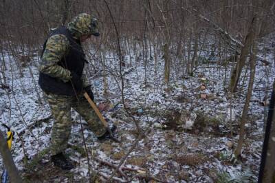 В Тверской области нашли череп мужчины, задержан подозреваемый в убийстве - afanasy.biz - Тверская обл.