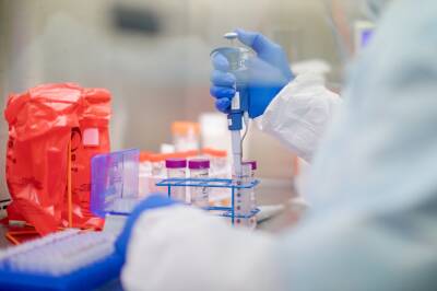 За сутки в Беларуси зарегистрирован 1981 пациент с COVID-19, выписаны 2903 - grodnonews.by - Белоруссия