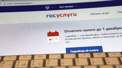 Владимир Ульянов - Эксперт оценил мощность кибератаки на портал «Госуслуг» - iz.ru - Израиль