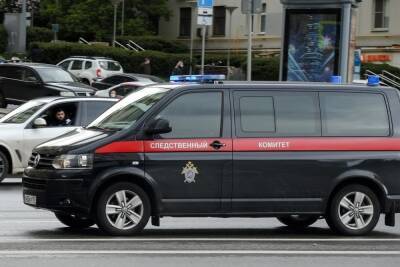 Задержанный за убийство 9-летней девочки в Орловской области признал второе убийство - mk.ru - Орловская обл.