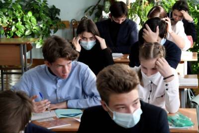 Ивановские школьники вернутся к очному обучению с 15 ноября - interfax-russia.ru - Воронеж - Иваново - Ивановская обл.