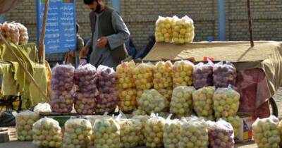 Афганистан находится на грани "экономического коллапса" - unn.com.ua - США - Украина - Киев - Афганистан - Пакистан - Исламабад - Талибан