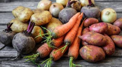 Как сохранить картофель, морковь и свеклу до весны: 5 вариантов хранения урожая - skuke.net