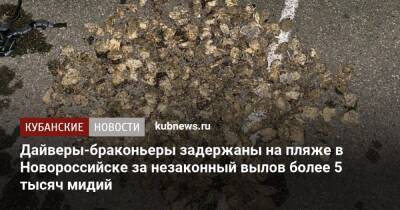 Дайверы-браконьеры задержаны на пляже в Новороссийске за незаконный вылов более 5 тысяч мидий - kubnews.ru - Россия - Краснодарский край - Новороссийск - Черное Море