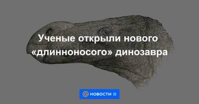 Ученые открыли нового «длинноносого» динозавра - news.mail.ru - Англия - Лондон