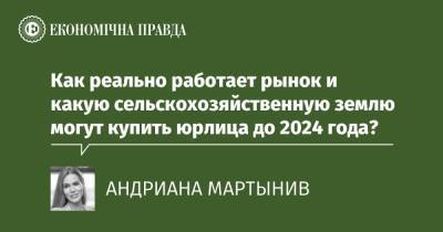 Как реально работает рынок и какую сельскохозяйственную землю могут купить юрлица до 2024 года? - epravda.com.ua - Украина