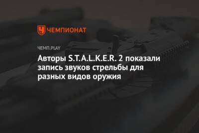 Авторы S.T.A.L.K.E.R. 2 показали запись звуков стрельбы для разных видов оружия - championat.com