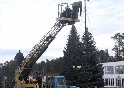 В Рязани начали установку городских новогодних елок - ya62.ru - Рязань