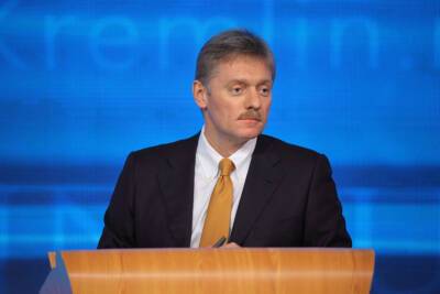 Дмитрий Песков - Песков назвал условие для полной отмены QR-кодов - neva.today - Россия - Санкт-Петербург
