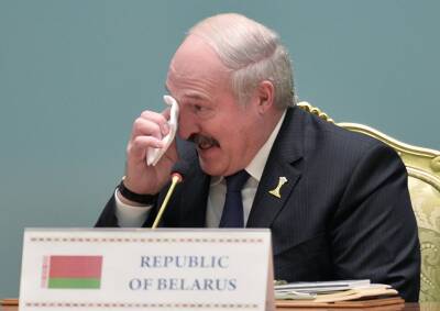 Александр Лукашенко - Захар Прилепин - Ольга Скабеева - Прилепин раскритиковал Лукашенко из-за ситуации с мигрантами - politnavigator.net - Россия - Украина - Белоруссия - Донбасс