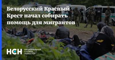 Дмитрий Шевцов - Белорусский Красный Крест начал собирать помощь для мигрантов - nsn.fm - Белоруссия