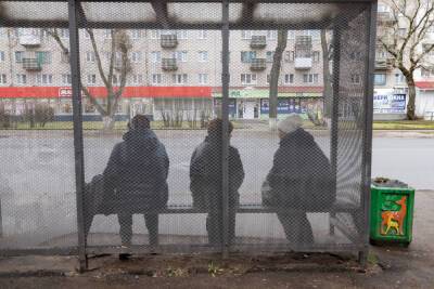 Борис Елкин - Почему в Пскове устанавливают остановки с решетчатыми стенами, объяснил Борис Елкин - mk-pskov.ru - Псков