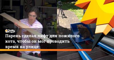 Парень сделал лифт для пожилого кота, чтобы он мог проводить время на улице - ridus.ru - Австралия