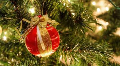 Мэрия Барнаула отменила праздничное открытие новогодней елки и фейерверк - runews24.ru - Барнаул