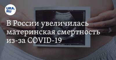 В России увеличилась материнская смертность из-за COVID-19 - ura.news - Россия