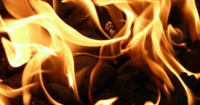 В Киеве горит плавучее кафе - dsnews.ua - Украина - Киев - район Голосеевский, Киев