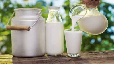 Как употребление молока отражается на организме и что такое «молочное лицо» - lenta.ua - Украина
