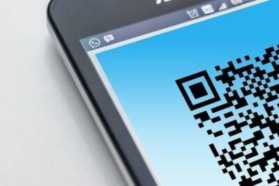 Почти треть россиян поддерживает введение QR-кодов на транспорте - mk.ru - Россия