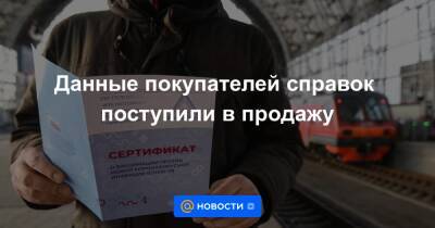 Евгений Антипов - Данные покупателей справок поступили в продажу - news.mail.ru