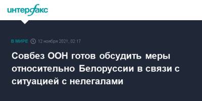 Совбез ООН готов обсудить меры относительно Белоруссии в связи с ситуацией с нелегалами - interfax.ru - Москва - Норвегия - США - Англия - Белоруссия - Франция - Эстония - Польша - Литва - Ирландия - Албания