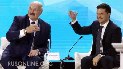Как Зеленский у «нелегитимного» Лукашенко электричество покупал - rusonline.org - Украина - Белоруссия