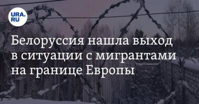 Ольга Чуприс - Белоруссия нашла выход в ситуации с мигрантами на границе Европы - ura.news - Белоруссия - Польша - Литва