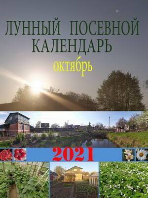 Лунный посевной календарь на 2021 год октябрь - skuke.net