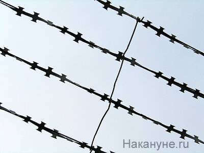 Владимир Осечкин - Главу правозащитной организации Gulagu.net снова объявили в розыск - nakanune.ru - Россия - Саратовская обл.