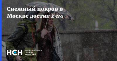 Снежный покров в Москве достиг 2 см - nsn.fm - Москва - Россия