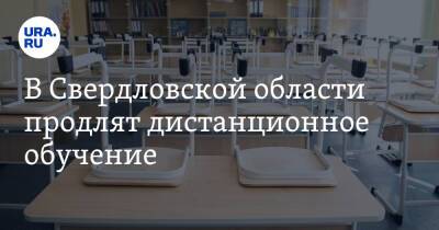 В Свердловской области продлят дистанционное обучение - ura.news - Свердловская обл.