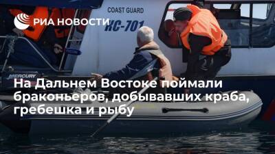 На Дальнем Востоке поймали браконьеров, у которых изъяли 1,2 тонны мяса морского гребешка - ria.ru - Москва - Россия - Хабаровский край - Еврейская обл. - Иваново - район Ванинский