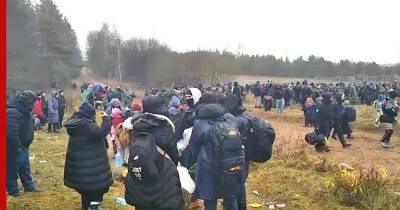 Группа мигрантов прорвалась из Белоруссии на территорию Польши - profile.ru - Белоруссия - Польша