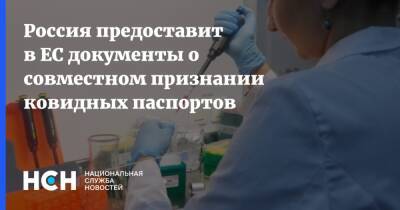 Федот Тумусов - Россия предоставит в ЕС документы о совместном признании ковидных паспортов - nsn.fm - Россия - Запад