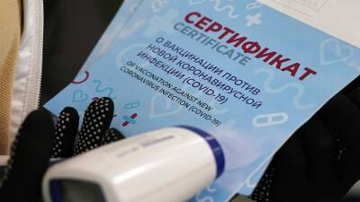 Юрист рассказал о последствиях «слива» данных покупателей фейковых COVID-справок - iz.ru - Москва - Россия - Израиль - Московская обл.