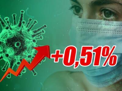 Динамика коронавируса на 12 ноября - bloknot.ru - Москва - Россия - США