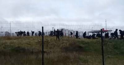 Десятки беженцев прорвались в Польшу со стороны Беларуси (видео) - focus.ua - Украина - Белоруссия - Польша