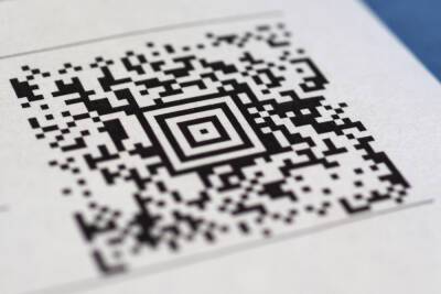 Борис Пиотровский - Как пенсионерам получить QR-код без «Госуслуг» и нужен ли паспорт при его проверке - spb.mk.ru - Санкт-Петербург