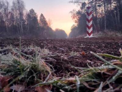 Мигранты снова прорывались через белорусско-польскую границу: Польша говорит, их задержали - unn.com.ua - Украина - Киев - Белоруссия - Польша