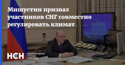 Михаил Мишустин - Мишустин призвал участников СНГ совместно регулировать климат - nsn.fm - Россия - Экология