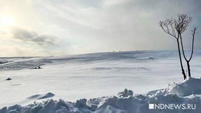 Зоя Осколкова - В Приморье два туриста замерзли насмерть - newdaynews.ru - Россия - Приморье край - Владивосток - Партизанск