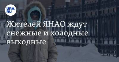 Евгений Тишковец - Жителей ЯНАО ждут снежные и холодные выходные - ura.news - Россия - окр. Янао